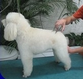 Banho Suave Hidratante